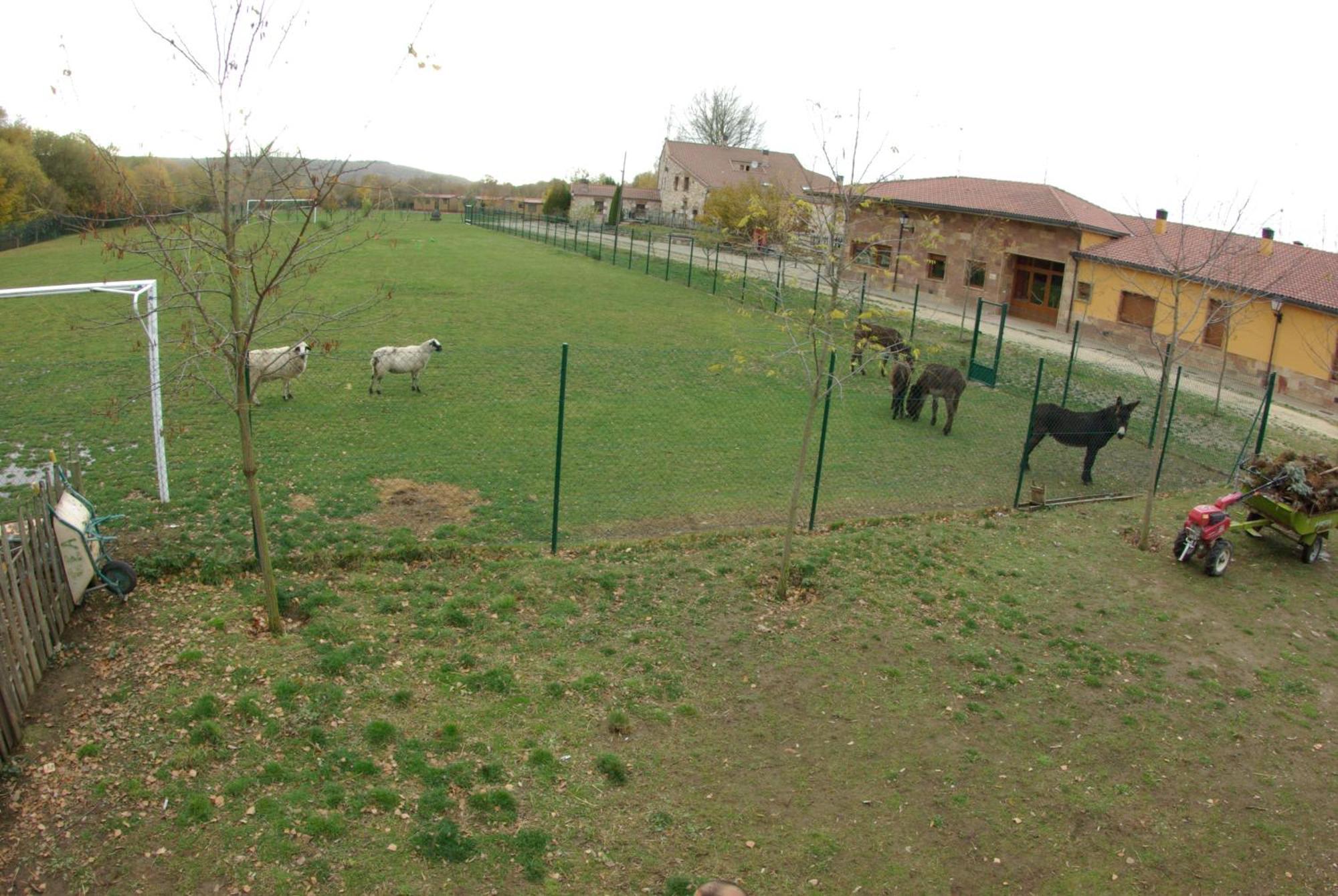 Bungalows Granja Escuela Arlanzon Exterior photo